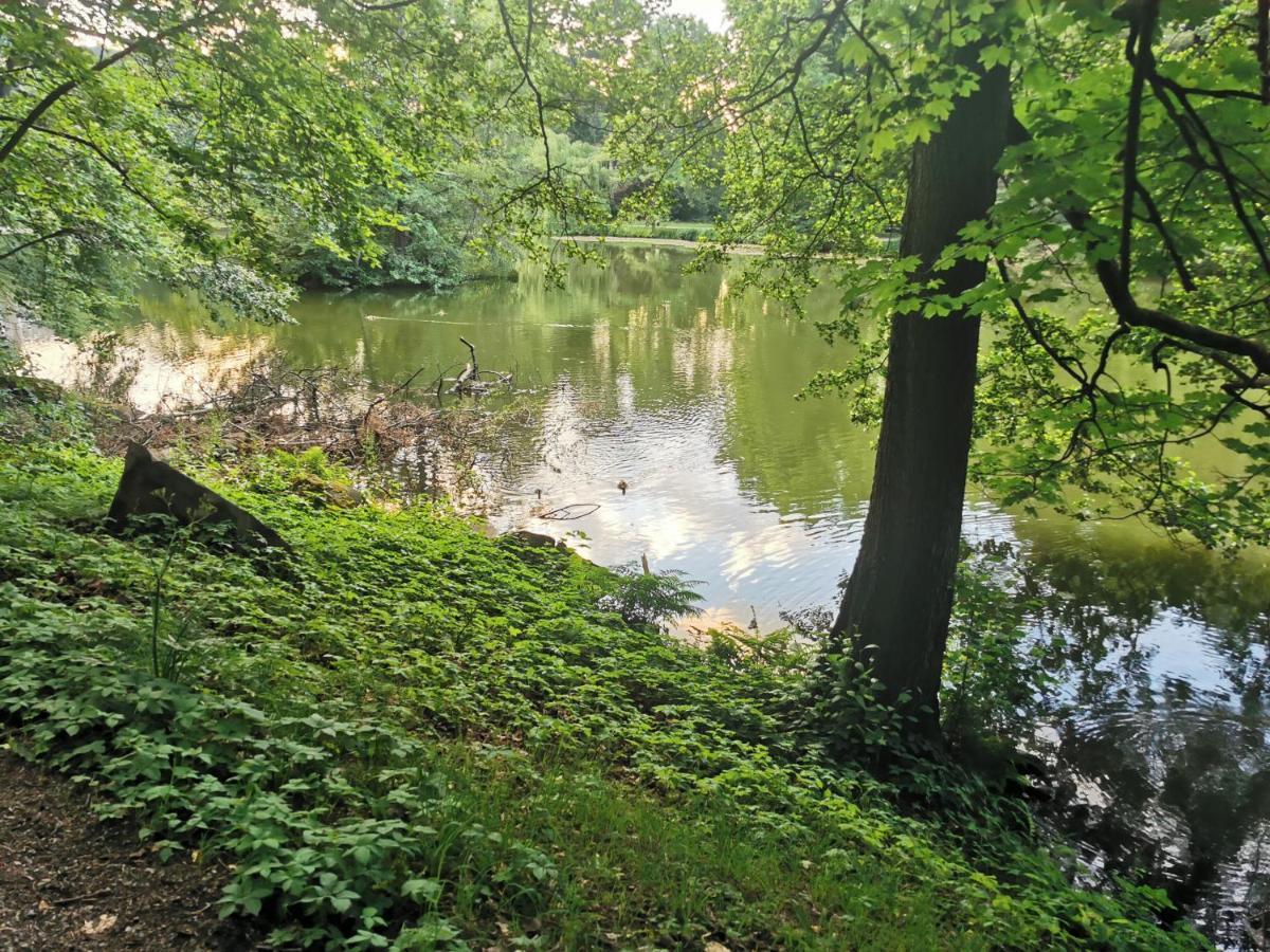 Schoene 3-Zimmer Erdgeschosswohnung Am Bergpark,Unesco,Therme,Train, Wilhelmshoeher Allee 329 카셀 외부 사진